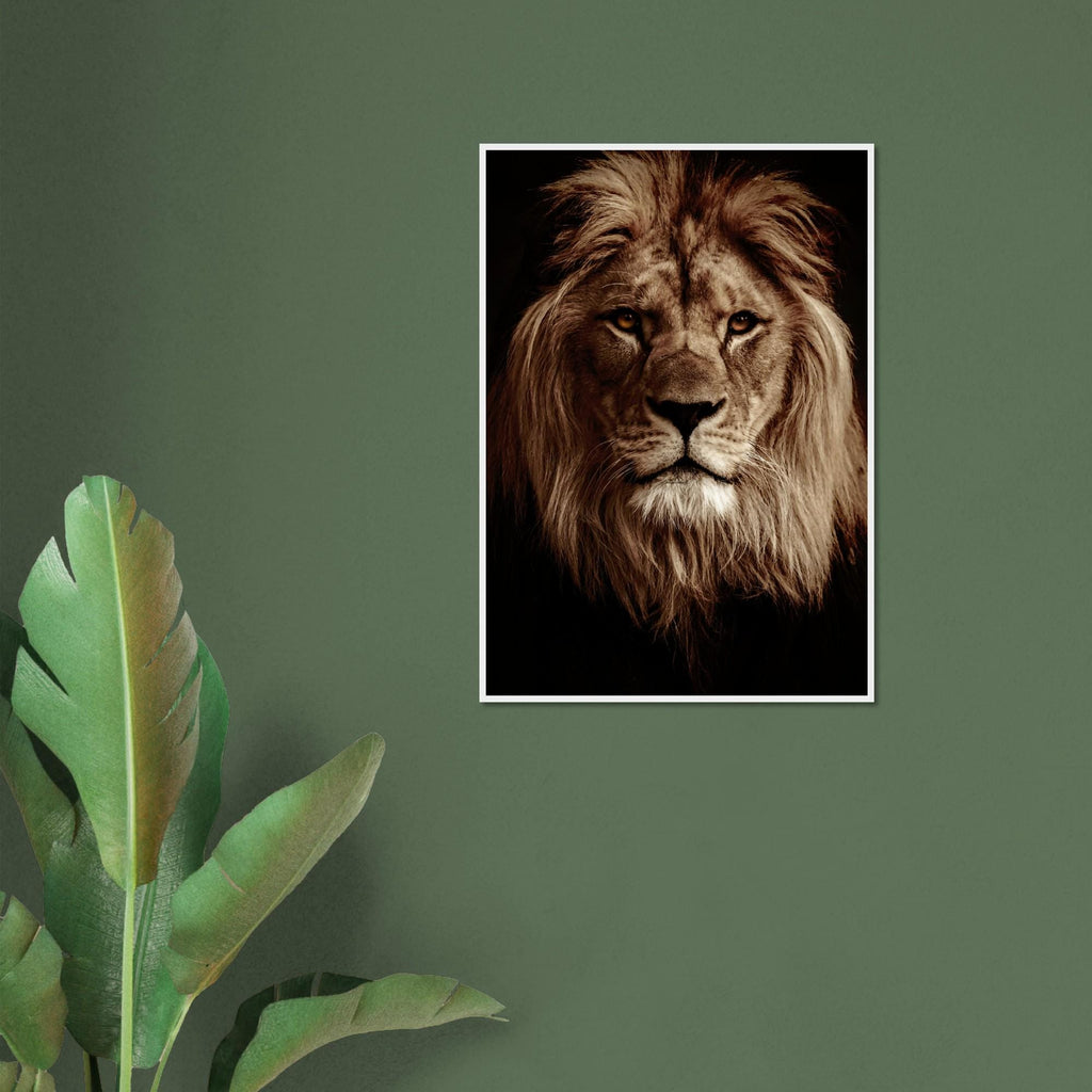 Lion Portrait Poster: Matte Paper, Pine Wood Frame